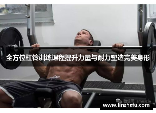 全方位杠铃训练课程提升力量与耐力塑造完美身形