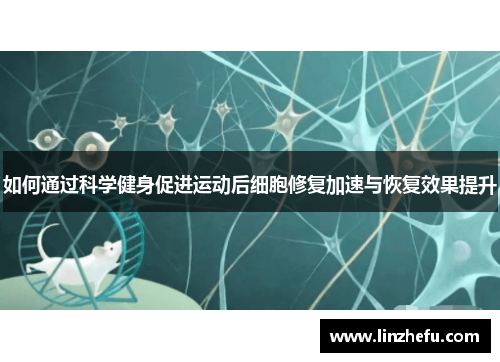 如何通过科学健身促进运动后细胞修复加速与恢复效果提升