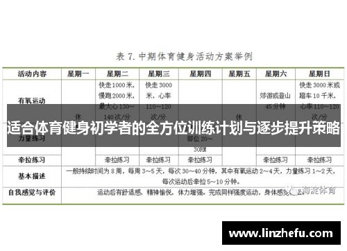 适合体育健身初学者的全方位训练计划与逐步提升策略