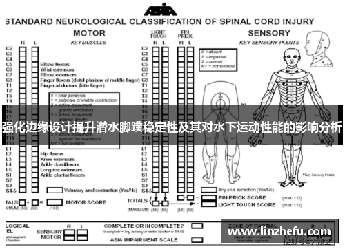 强化边缘设计提升潜水脚蹼稳定性及其对水下运动性能的影响分析