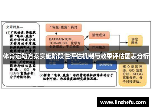 体育运动方案实施阶段性评估机制与效果评估图表分析