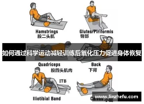如何通过科学运动减轻训练后氧化压力促进身体恢复