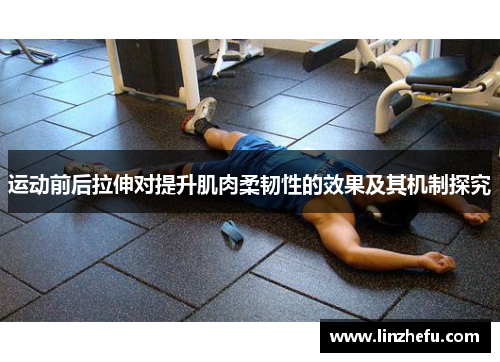 运动前后拉伸对提升肌肉柔韧性的效果及其机制探究
